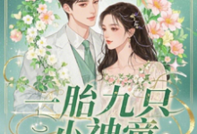 《一胎九只小神童，萧爷的独家宠爱》楚聆月完整版小说免费阅读-殇情文学