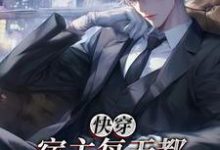 快穿：宿主每天都撩夫不自知小说阅读，快穿：宿主每天都撩夫不自知完结版-殇情文学