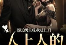 强迫男主后，我过上了人上人的生活赵汀兰沈颂川，强迫男主后，我过上了人上人的生活章节在线阅读-殇情文学