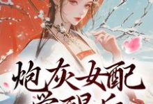 顾婉盈小说炮灰女配觉醒后:我要宫斗!章节免费阅读-殇情文学