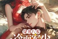 穿书八零：冷面军少夜夜来敲门温念陆寒铮小说在线章节免费阅读-殇情文学