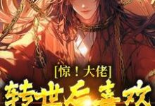 楚枫小说免费阅读完整版-殇情文学