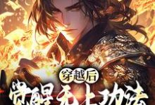 完结版《穿越后,觉醒无上功法的我要复仇了》章节阅读-殇情文学