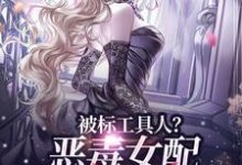 宋以宁小说免费阅读完整版-殇情文学