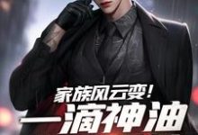 完结版《家族风云变！一滴神油搅动乾坤》章节阅读-殇情文学