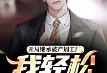 江晨小说《开局继承破产加工厂，我轻松盘活！》在线阅读-殇情文学
