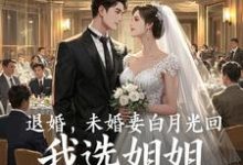 退婚，未婚妻白月光回，我选姐姐徐仁小说大结局免费试读-殇情文学