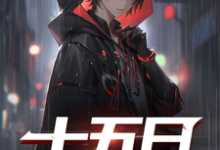 完结版《十五日旅人》免费阅读-殇情文学