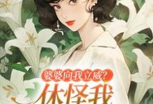 小说《婆婆向我立威？休怪我一拳让你老实》章节免费阅读-殇情文学