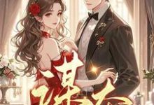 谋夺小说免费资源，谋夺在线阅读-殇情文学