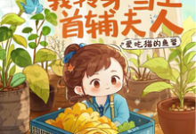栾香橼完整版《全族流放后,我转身当上首辅夫人》小说免费阅读-殇情文学