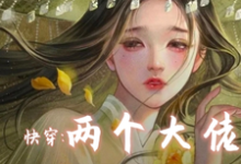 完结版《快穿两个大佬别关了不逃了》章节阅读-殇情文学