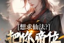 想求仙法?把你帝位借我玩玩小说完结版章节免费阅读-殇情文学