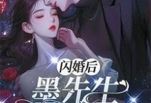 完结版《闪离后：墨先生别来无恙》免费阅读-殇情文学