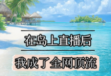 小说《在岛上直播后,我成了全网顶流》完整版章节免费阅读-殇情文学
