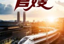 官嫂这本小说在哪里可以看？哪里有免费试读章节？-殇情文学