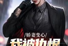 娇妻变心，我被仇恨占据了全身完整版小说，娇妻变心，我被仇恨占据了全身路无铭墨凉馨-殇情文学