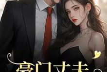 寻找能够免费阅读豪门丈夫为何一反常态,频频回家?小说的平台-殇情文学