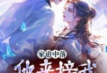 完整版《家道中落，他来接我当主母？》小说免费阅读-殇情文学
