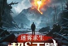 迷雾求生：超S天赋，点化万物！这本小说在哪里可以看？哪里有免费试读章节？-殇情文学
