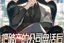 《把破产的公司盘活后,顺便震惊全球》完整版小说免费阅读-殇情文学