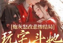 炮灰怒改悲惨结局，玩宅斗她真无敌免费阅读，炮灰怒改悲惨结局，玩宅斗她真无敌章节在线阅读-殇情文学