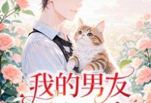 我的男友两心一意许辉,我的男友两心一意章节在线阅读-殇情文学
