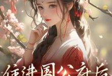 已完结小说《住进国公府后，我成了香饽饽！》在线章节阅读-殇情文学