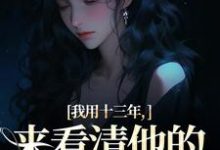 我用十三年，来看清他的真心无常乔星光小说免费阅读-殇情文学