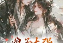 金满银完整版《娘子太强，我不想努力了》小说免费阅读-殇情文学