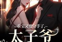 乖宝又要分手了,太子爷求贴贴江颜厉霆骁,乖宝又要分手了,太子爷求贴贴在线无弹窗阅读-殇情文学
