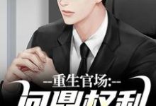 重生官场：问鼎权利之巅林峰，重生官场：问鼎权利之巅章节在线阅读-殇情文学