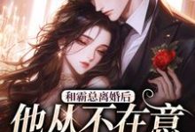 和霸总离婚后，他从不在意变求复婚许烟秦冽在线章节免费阅读-殇情文学