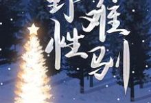 《野性难驯》小说舒菀周敛深章节章节免费在线阅读-殇情文学
