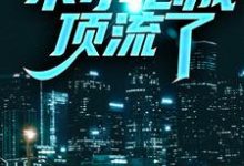 兼职明星：不小心成顶流了小说免费资源，兼职明星：不小心成顶流了在线阅读-殇情文学