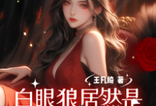 穿越八零：白眼狼居然是我养姐小说的所有章节都能在哪里免费读到？-殇情文学