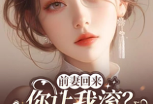 小说《前妻回来，你让我滚？和竹马领证》在线章节阅读-殇情文学