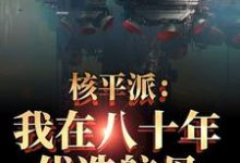 核平派：我在八十年代造航母小说的免费阅读版本在哪里可以找到？-殇情文学
