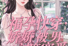 求福孕快穿：娇娇被男主过度宠爱小说免费资源-殇情文学