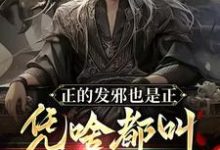 正的发邪也是正,凭啥都叫我魔头完整版最新章节,正的发邪也是正,凭啥都叫我魔头章节在线阅读-殇情文学