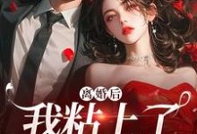离婚后,我粘上了那位大佬小说的最新章节在哪里更新?免费追踪阅读-殇情文学