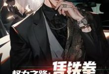 《权力之路:凭铁拳,我令黑势力退避》小说大结局免费试读 步青云小说-殇情文学