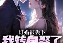 订婚被丢下,我转身娶了娇娇千金免费阅读,订婚被丢下,我转身娶了娇娇千金江辰-殇情文学