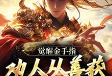 小说《觉醒金手指：劝人从善获决定武力值》完整版在线章节免费阅读-殇情文学