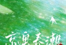 京澳春潮小说的免费电子版在哪里可以下载或阅读?-殇情文学