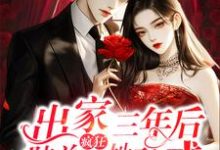 许初颜陆瑾州小说叫什么（出家三年后，陆总疯狂诱她破戒完整版免费阅读）-殇情文学