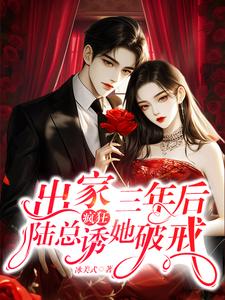 小说《出家三年后，陆总疯狂诱她破戒》完整版在线章节免费阅读