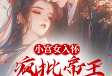 已完结小说《小宫女入怀：疯批帝王宠她上瘾》在线章节阅读-殇情文学