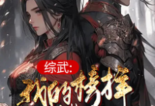 综武:我的榜样叫曹操完整版最新章节,综武:我的榜样叫曹操章节在线阅读-殇情文学