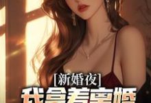 新婚夜，我拿着离婚协议黯然离场叶修远白若雪在线章节免费阅读-殇情文学